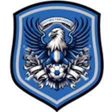 https://img.myzmkm.com/img/football/team/09bb5b9732bc080d522c37e74ce70004.png