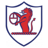 https://img.myzmkm.com/img/football/team/11fb72f7b5eacfc881ee11bac75871fa.png