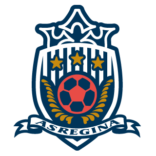 https://img.myzmkm.com/img/football/team/8b72fa7b42bbb2dac8f7d558f1dc106d.png