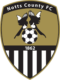 https://img.myzmkm.com/img/football/team/9e230c89a846b9cadf91884918fa7611.png