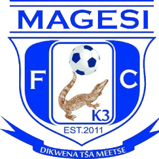 https://img.myzmkm.com/img/football/team/dc1df1e4722068b08e2fcddeeab4e7af.png